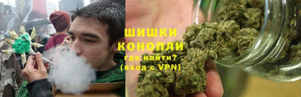 шишки Надым