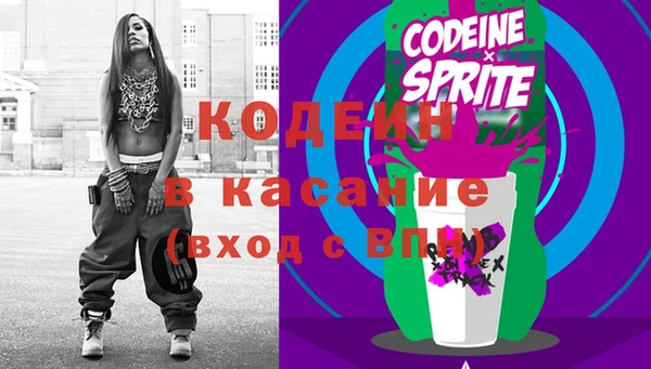 шишки Надым