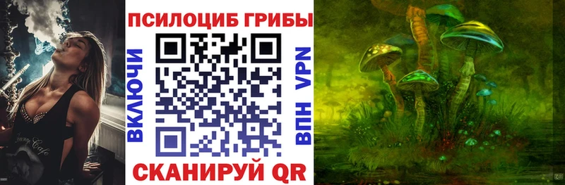 Галлюциногенные грибы Psilocybine cubensis Морозовск