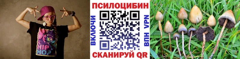 Галлюциногенные грибы прущие грибы  Морозовск 