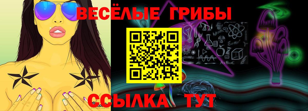 Псилоцибиновые грибы Psilocybine cubensis Морозовск